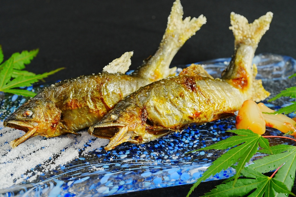 魚茂