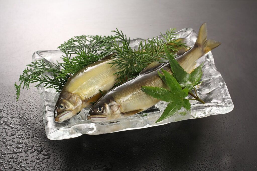 日本料理 川島
