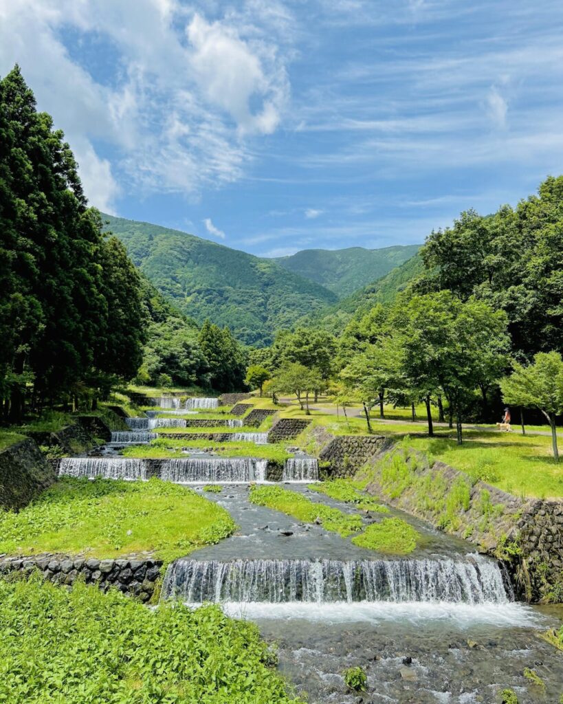 大津谷公園キャンプ場